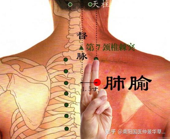 十大补气穴位,十大补血穴位,建议收藏 - 知乎