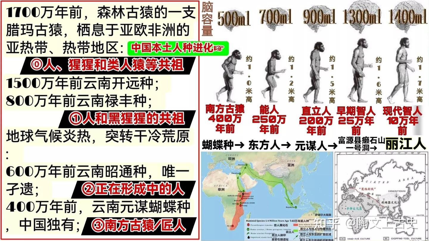 云南通史简版：600万至1万年前，不能遗忘的36位祖先！│黄种人