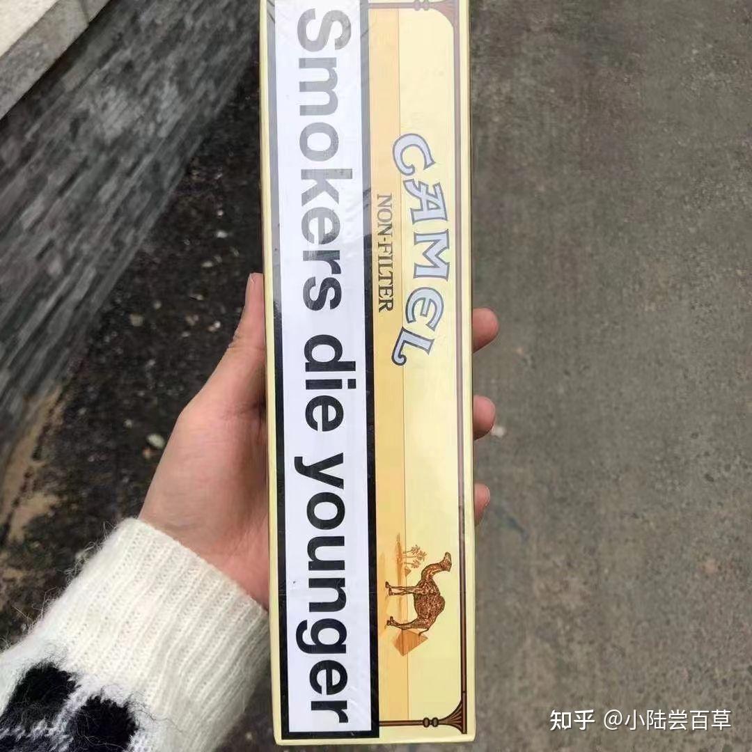 无嘴骆驼尝试 - 知乎