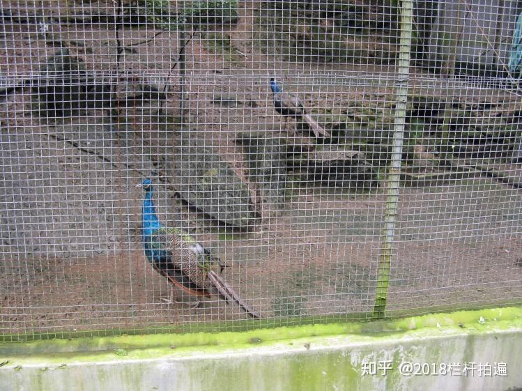 电视剧《西游记》外景地:安县-罗浮山 (中)