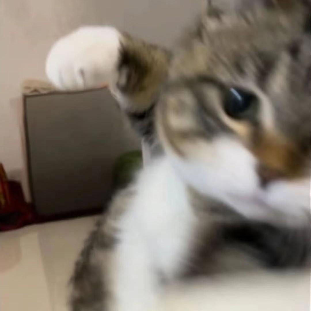 蛤嘰詸德