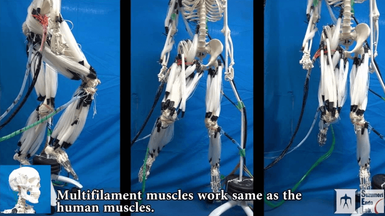 大学系列东京工业大学开发了150多款机器人