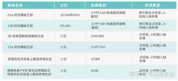 全新升級韋翰斯先天性腎上腺皮質增生症基因檢測方案20版本發佈