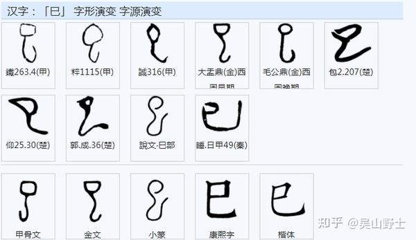 “己、已、巳、㠯”为什么这么像,他们的字义相近吗? - 知乎