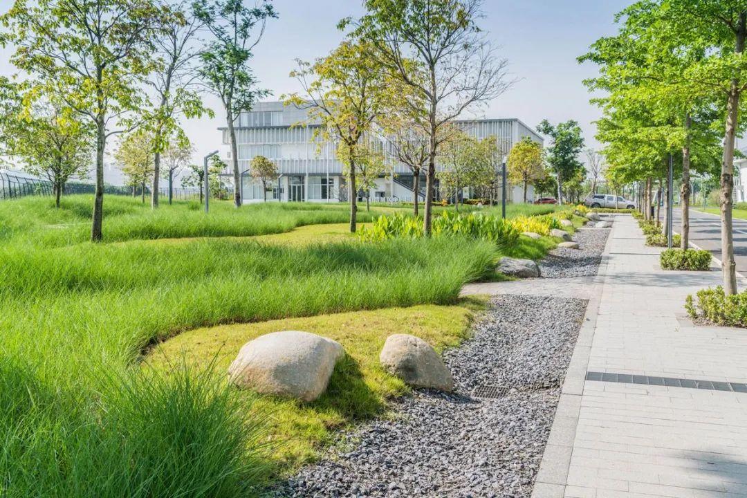 广州增城再生水厂景观设计 - 知乎