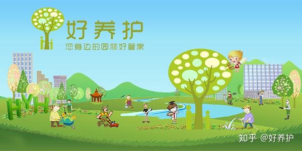 5月，五颜六色的月季就会炸裂式开放！