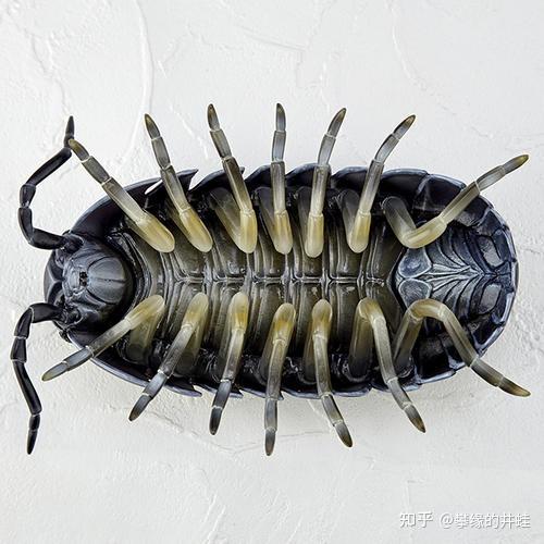 【地球演义】第二百七十二回 嘁，虫子 - 知乎