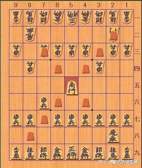 一文了解：世界上最常见的九类棋- 知乎