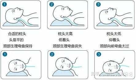 适合睡觉的枕头推荐 v2-bd759b0b7d609c935372f1978525e43a_r.jpg