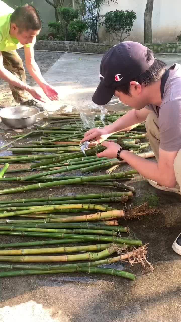 文玩玉竹之实心竹毛料 - 知乎