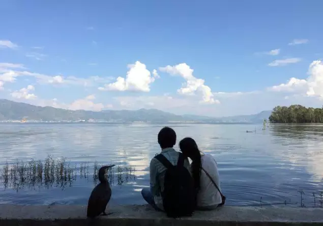 年度最催泪的15张情侣照白头偕老是我一生的宿愿