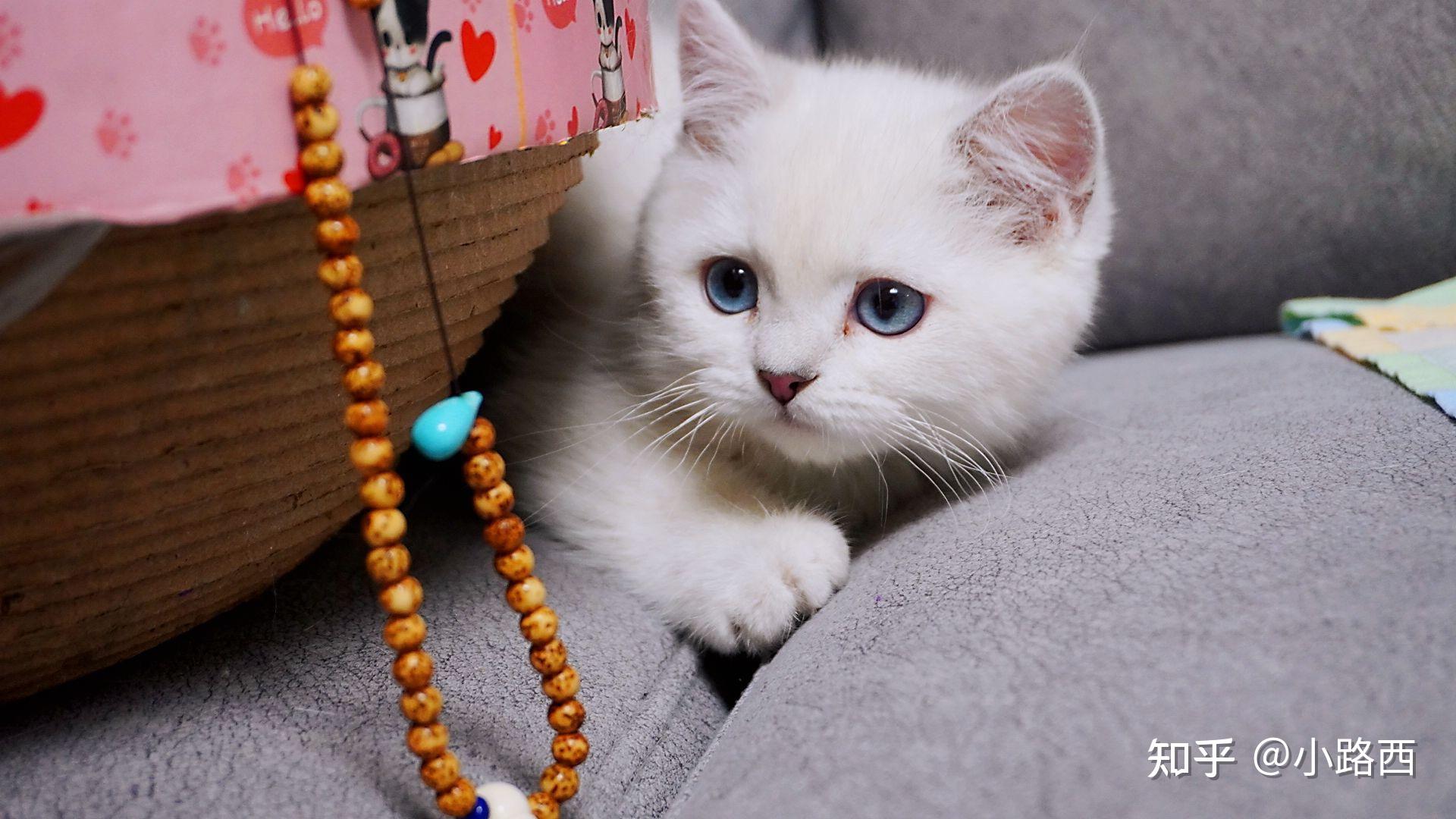 银点融化你一次