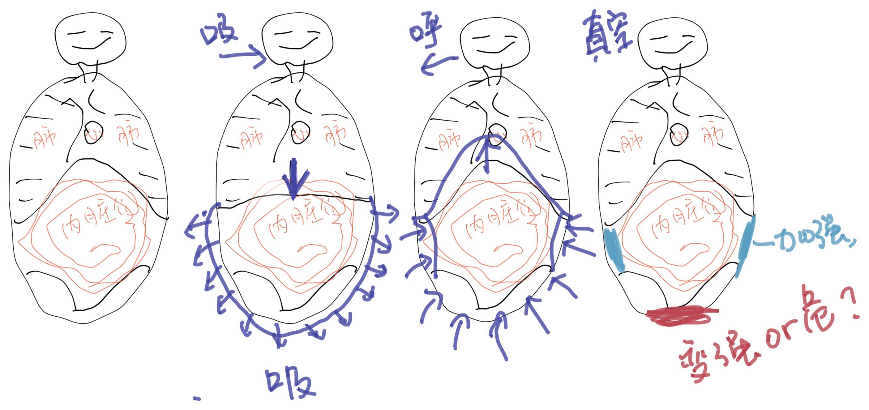 关于呼吸慢更中