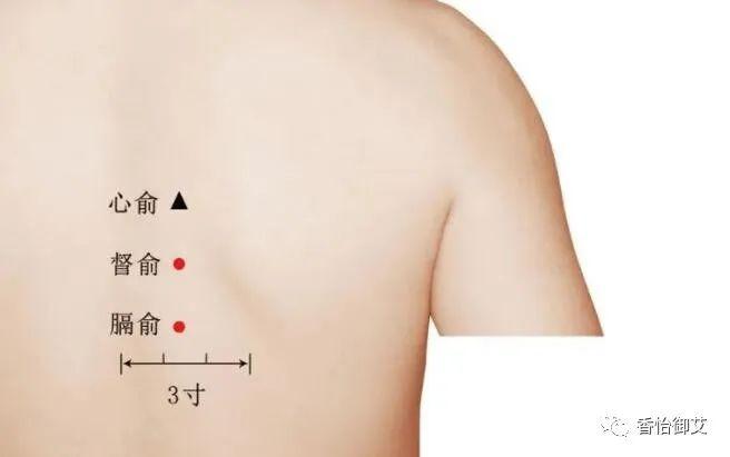 心脏不好艾灸位置图图片