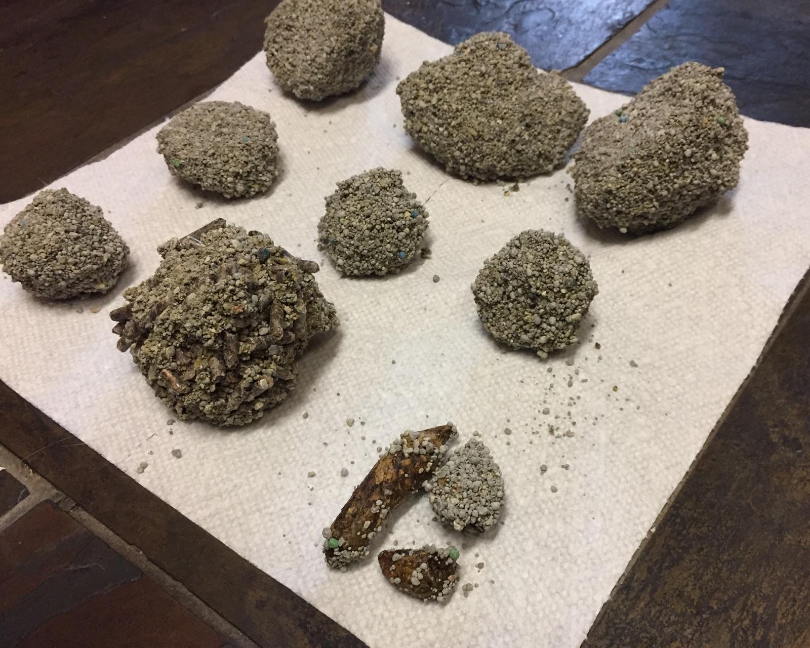 Litter Robot 全自动猫厕所真的是猫奴福音吗?