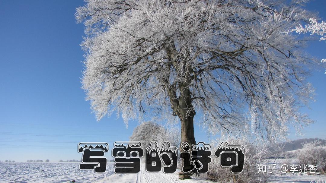 写雪的诗句古诗词,句句优美带白话文翻译