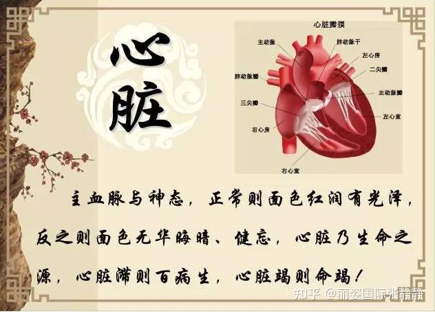 丽姿国际五脏毒素的表现