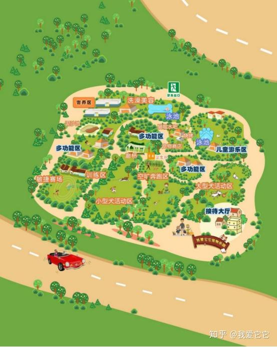 叮咚,"我爱它它"宠物乐园周日免费开放啦!