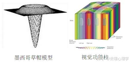 数理心理学评论2:心理科学方法学在何处? - 知乎