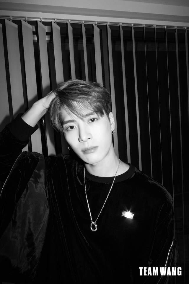 teamwang发布全新系列来看看王嘉尔的亲自介绍