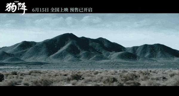 《狗阵》口碑两极,神片还是烂片?