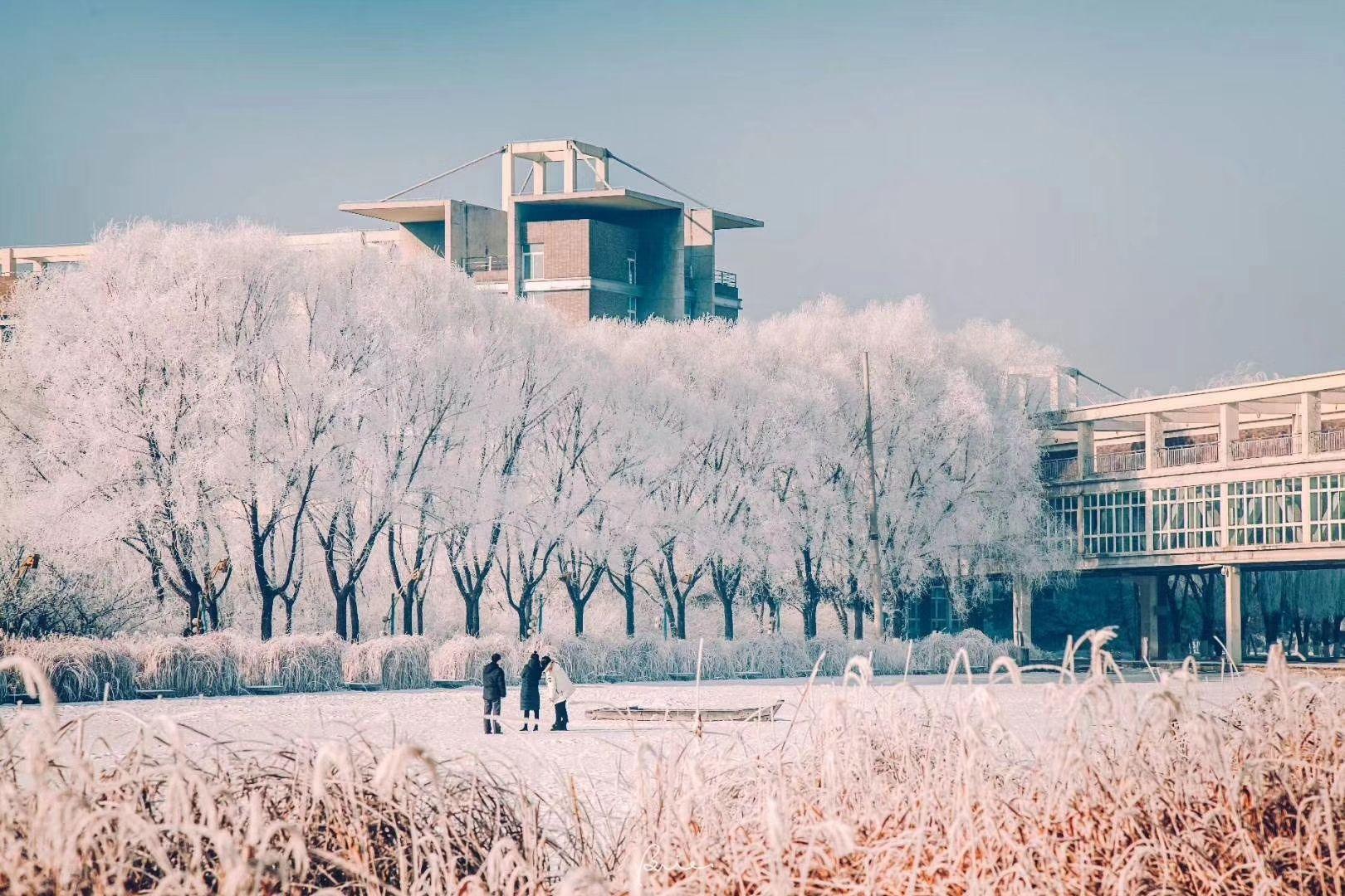 沈阳建筑大学是怎样的一所大学? - 知乎