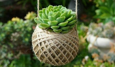 v2-bddcb842700f8f6eef522ce6ad4d4804_1440w.jpg?source=172ae18b