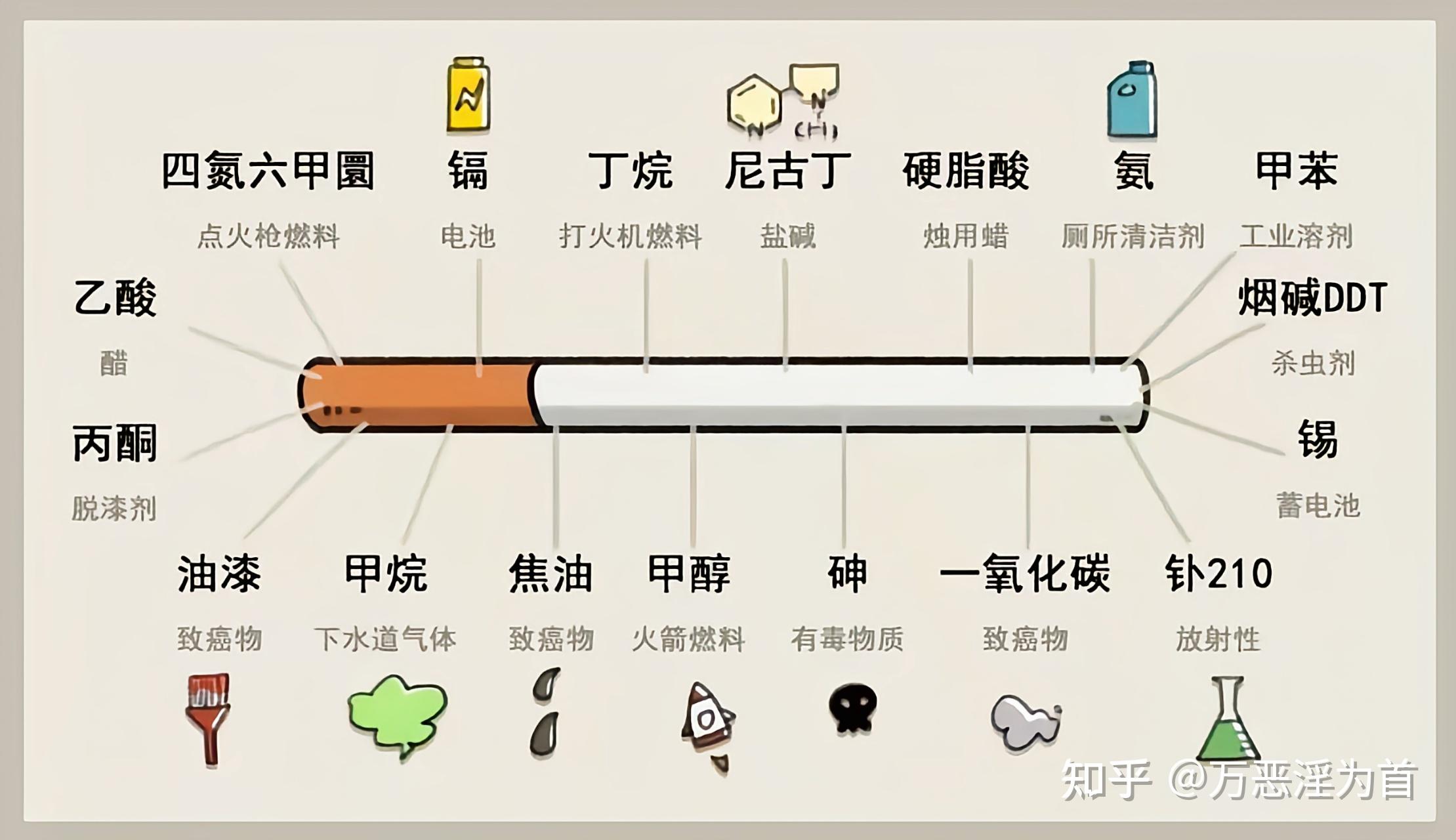 吸烟的危害,远比你想象的严重! - 知乎