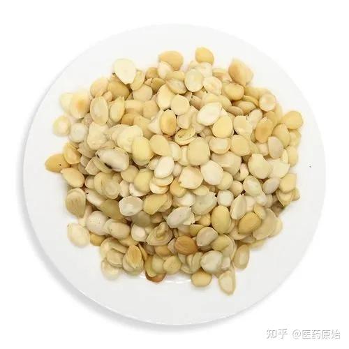 带你识别苦杏仁