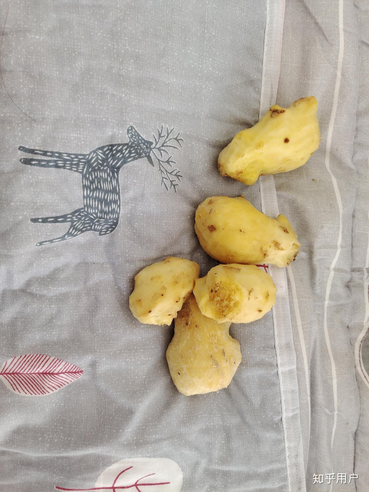 为什么有人喜欢吃生姜 v2-bdeaa7dede249cda09617e9d8d0a314a_r.jpg