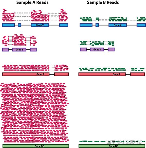 Rna seq cpm rpkm fpkm tpm 
