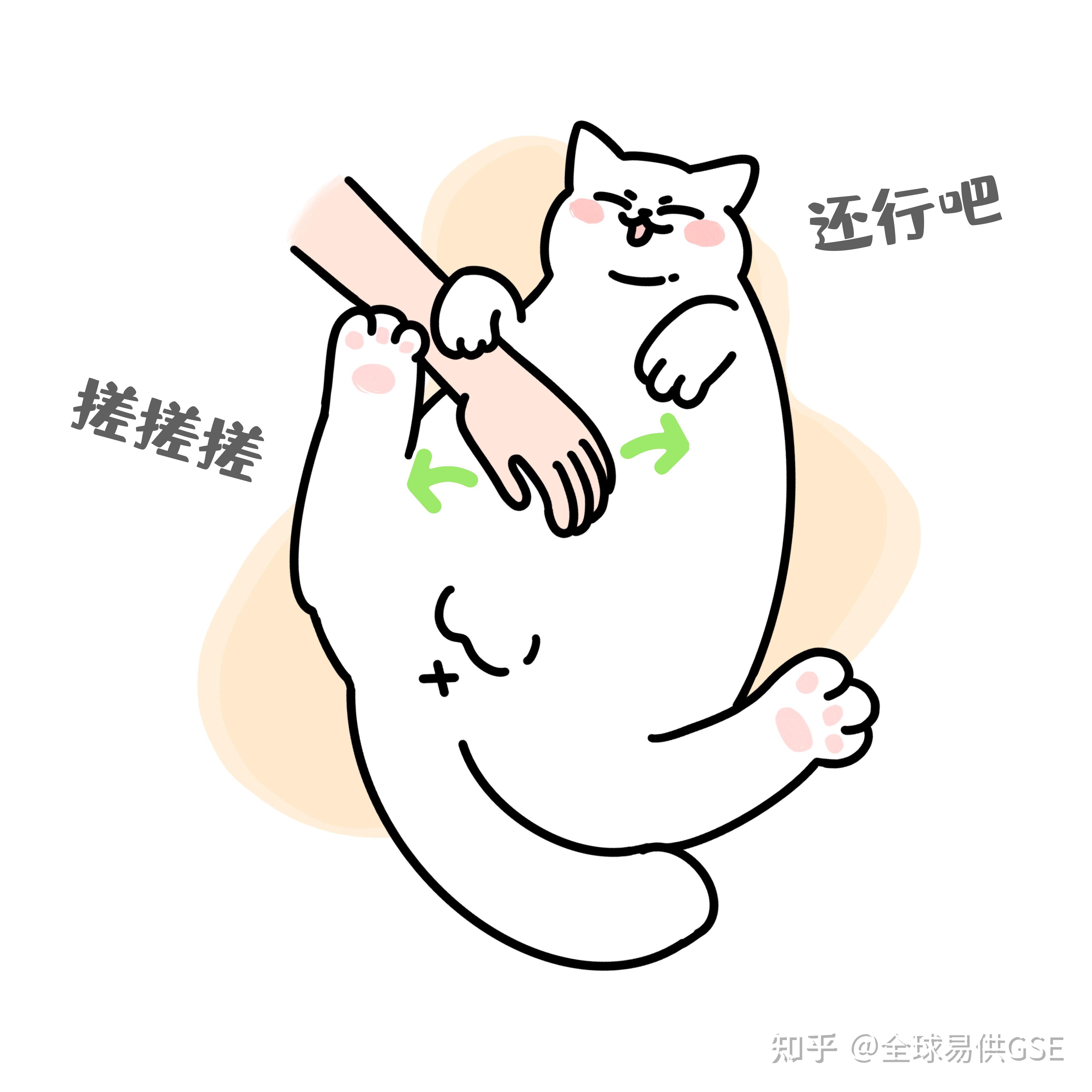 怎么撸猫才是正确的撸猫手法呢