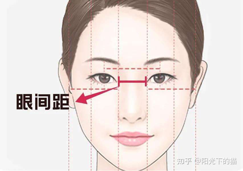 瞳距宽窄图片