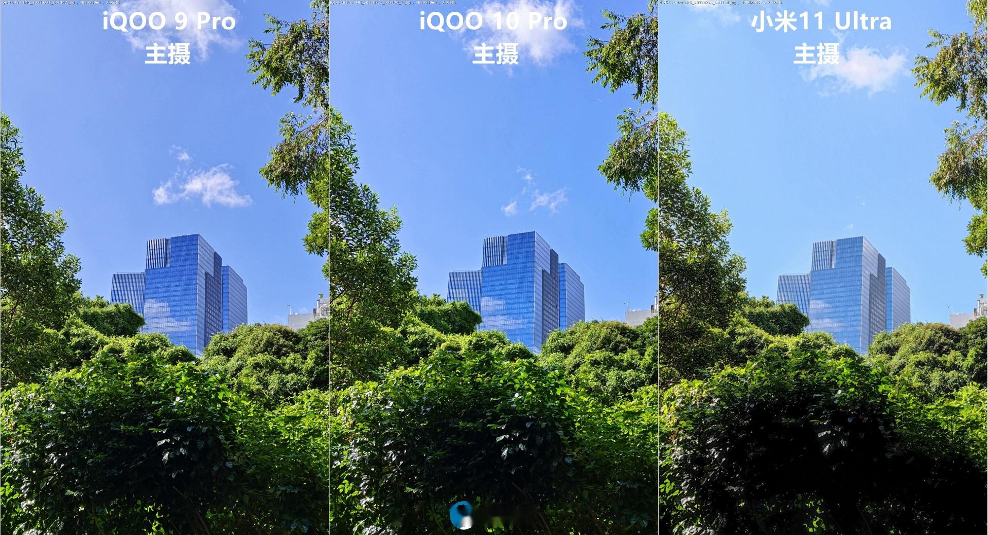 纯粹好奇iqoo10pro小米11ultraiqoo9pro拍照对比