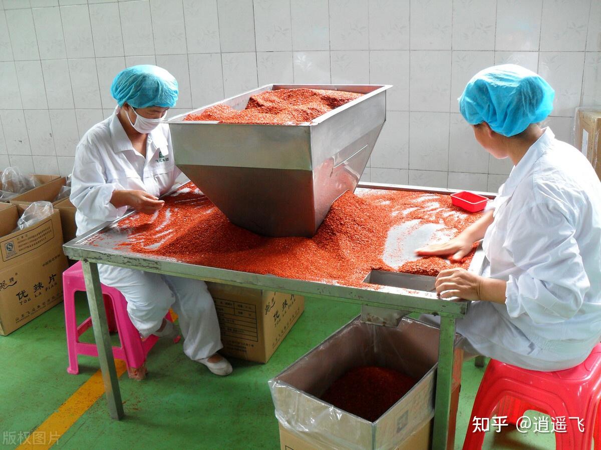 家庭致富小作坊赚钱真实案例视频(家庭致富小作坊赚钱真实案例视频播放)