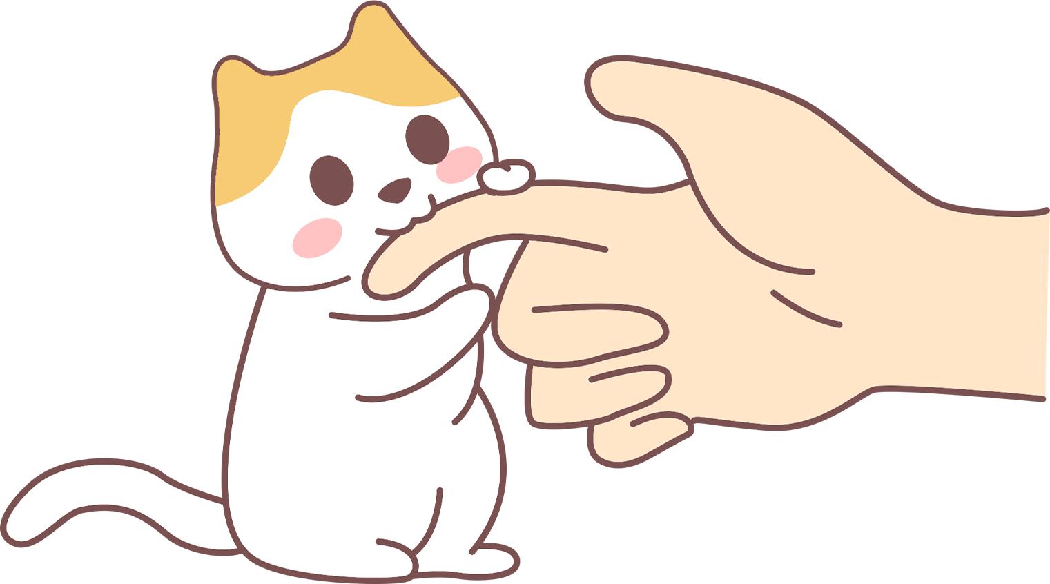 用猫咪的方式向猫咪告白,"我爱你!" - 知乎