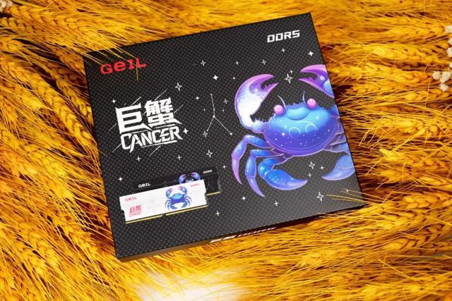 真的越高越好吗?不同电脑应用场景的DDR5内存频率选择