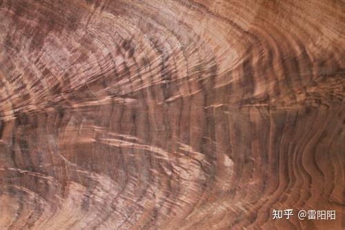 虎皮纹、雀眼纹、树瘤……谈谈实木的纹理特征 - 知乎
