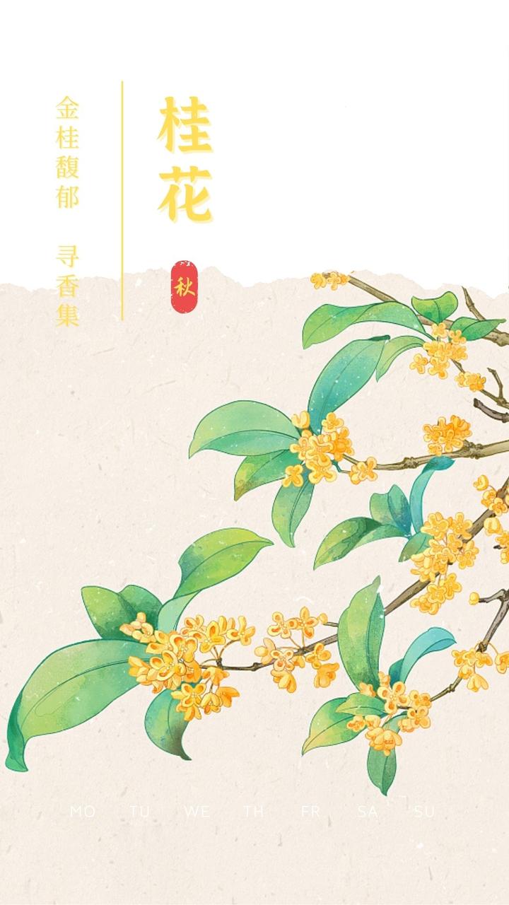 识花·寻香·赏味 | 秋风中的那抹桂花香~ - 知乎
