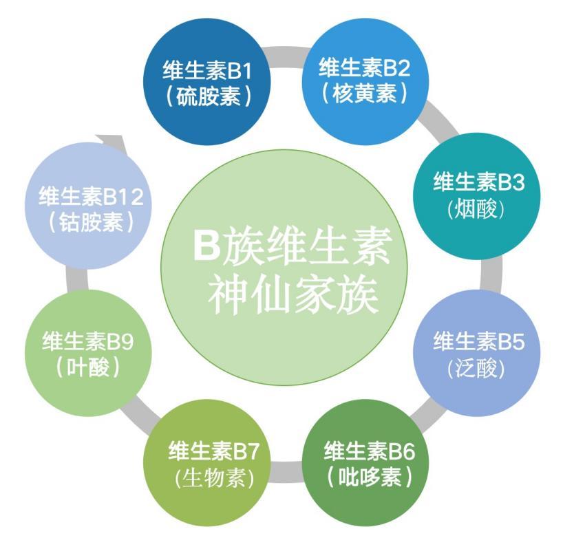 维生素b族是个大家庭,最常见的有8种据世界卫生组织(who)估计,全世界