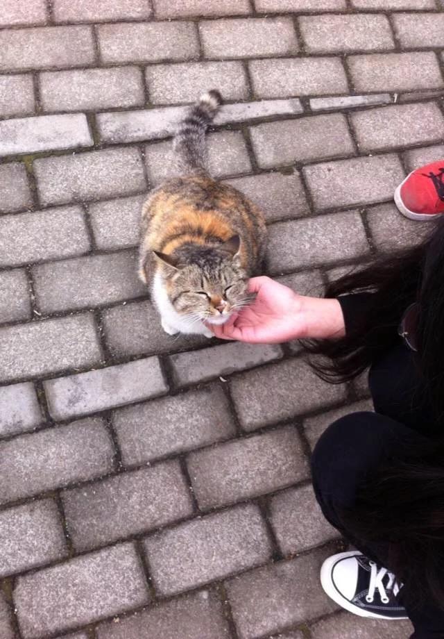 在一所风景特别美的学校读书是一种什么体验?