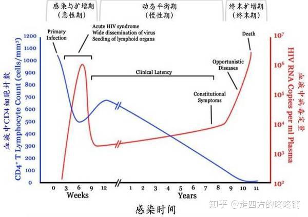 为什么hiv特异性感染cd4+ t细胞？