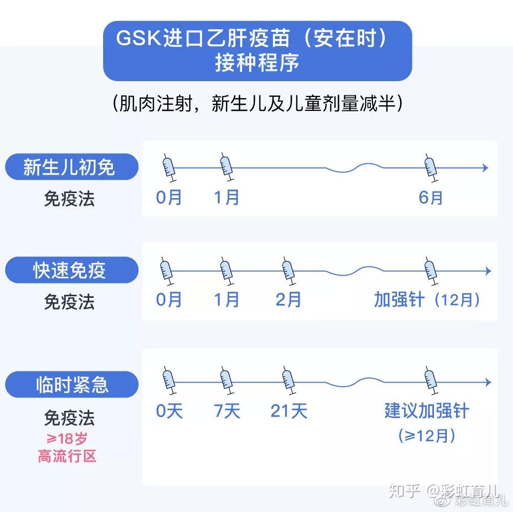 乙肝疫苗注射方法图解图片