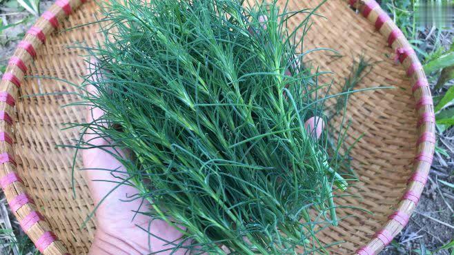 风滚草肆虐美国西部不少城镇正被淹没在我国却是一种美食