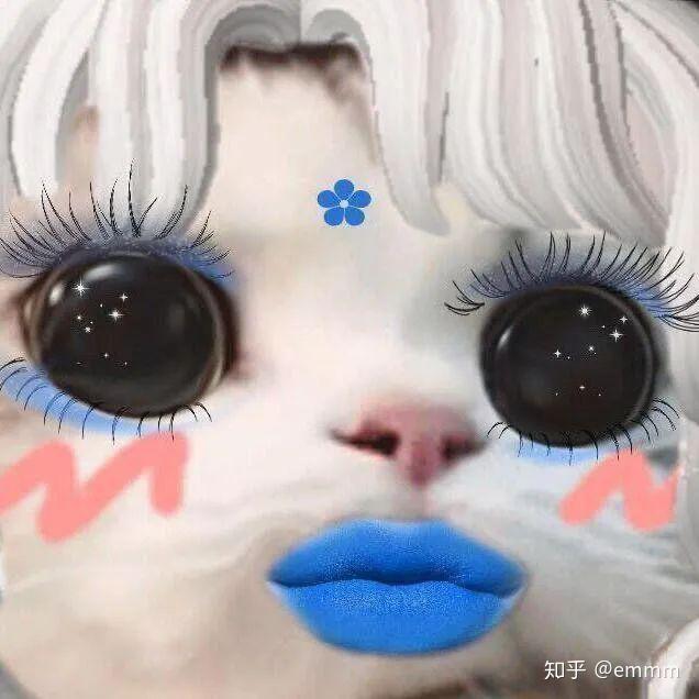 沙雕玛丽苏小说