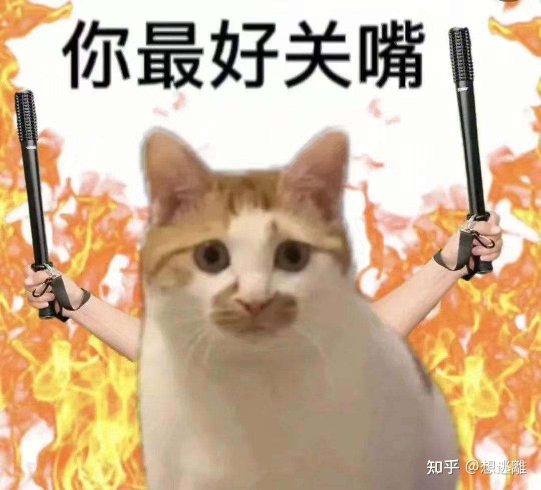 斗图必备搞笑表情包|啊对对对 你说的都对 - 知乎
