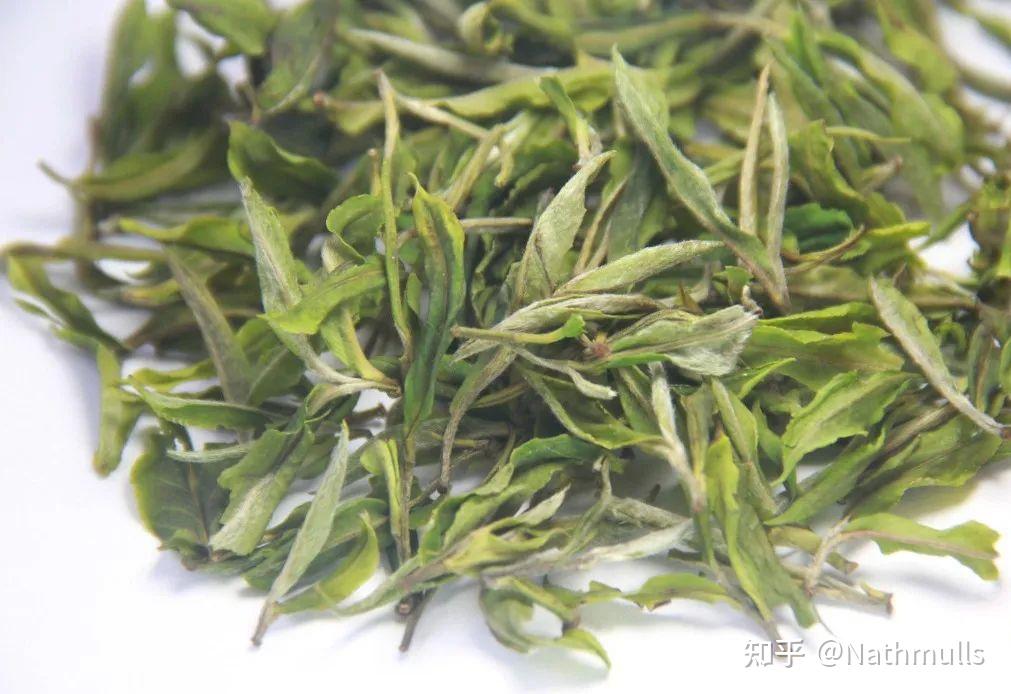 大吉岭白茶,不止是珍贵! - 知乎