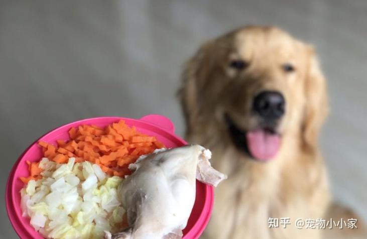狗狗食谱:吃什么肉合适呢? - 知乎