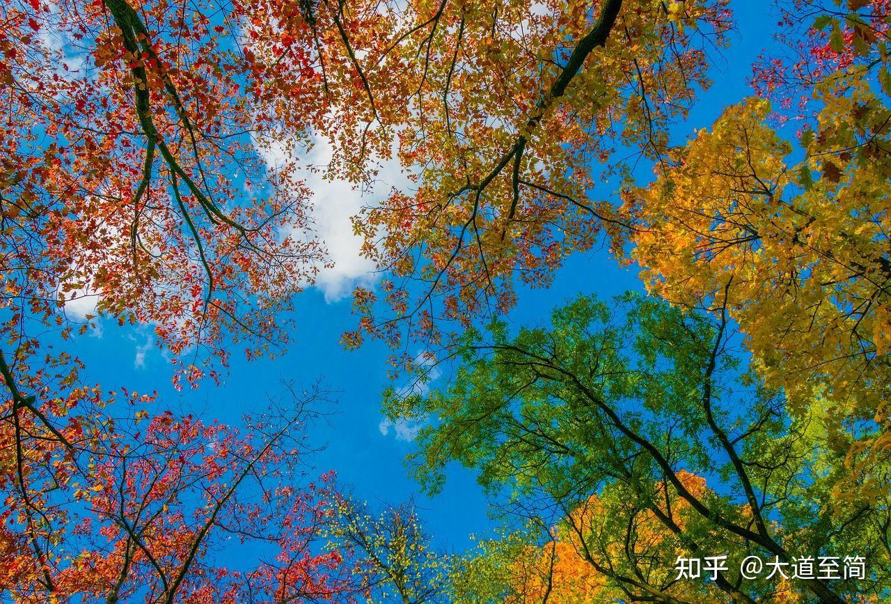 人生几度秋凉 - 知乎