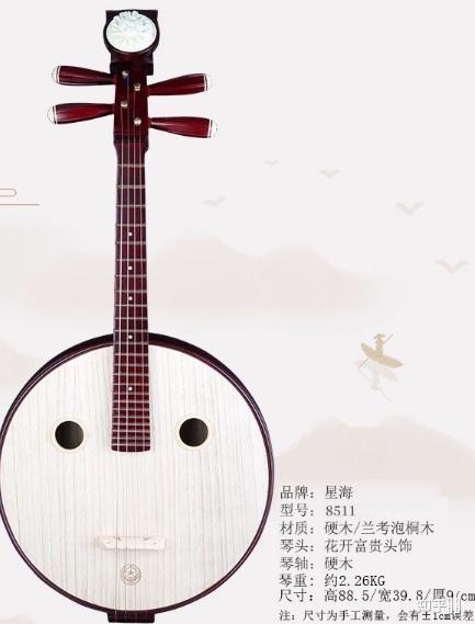 初学者怎么选择阮?
